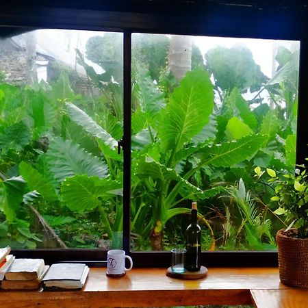 Tarzan'S House Hotel General Luna  Luaran gambar