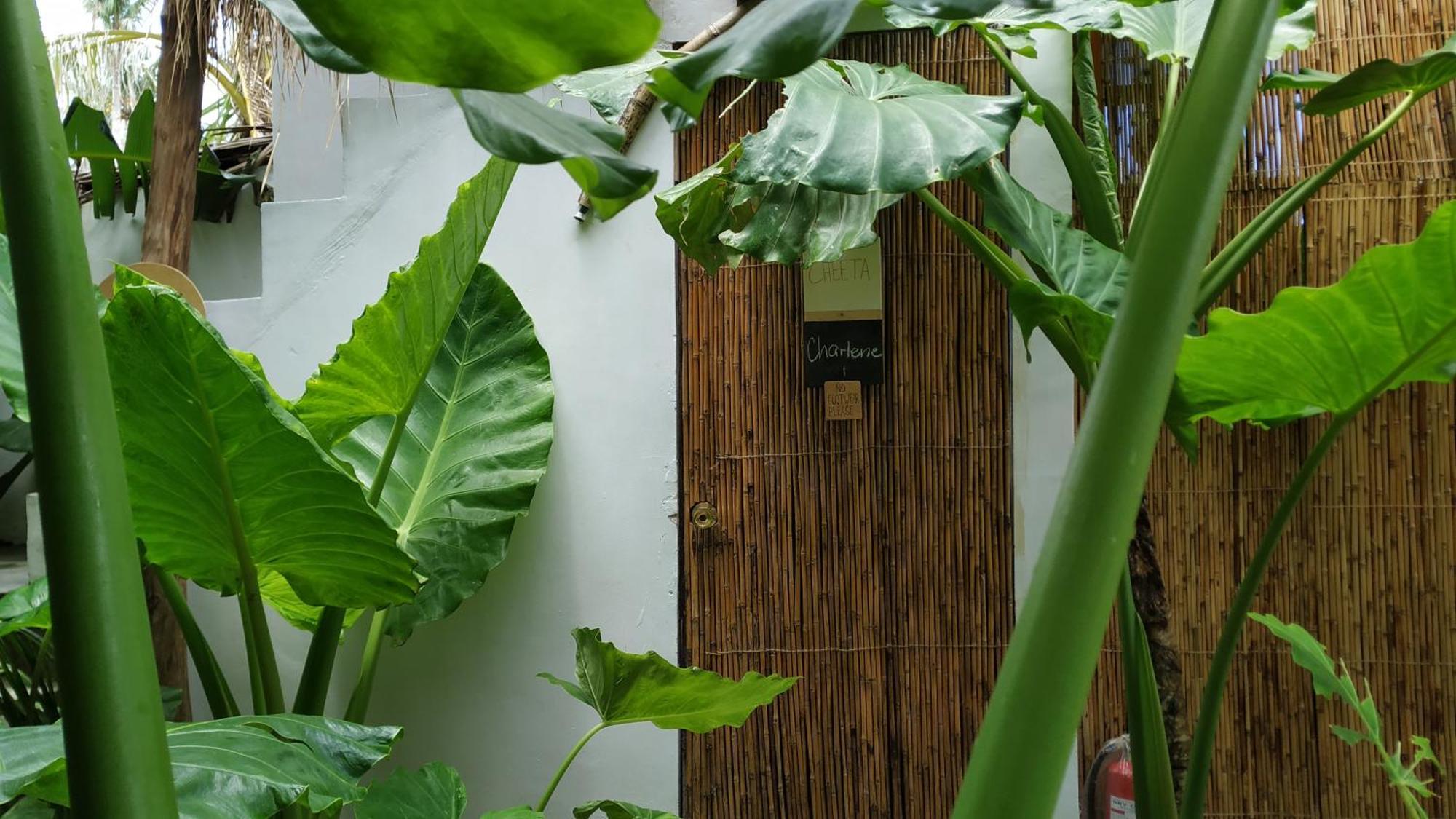 Tarzan'S House Hotel General Luna  Luaran gambar