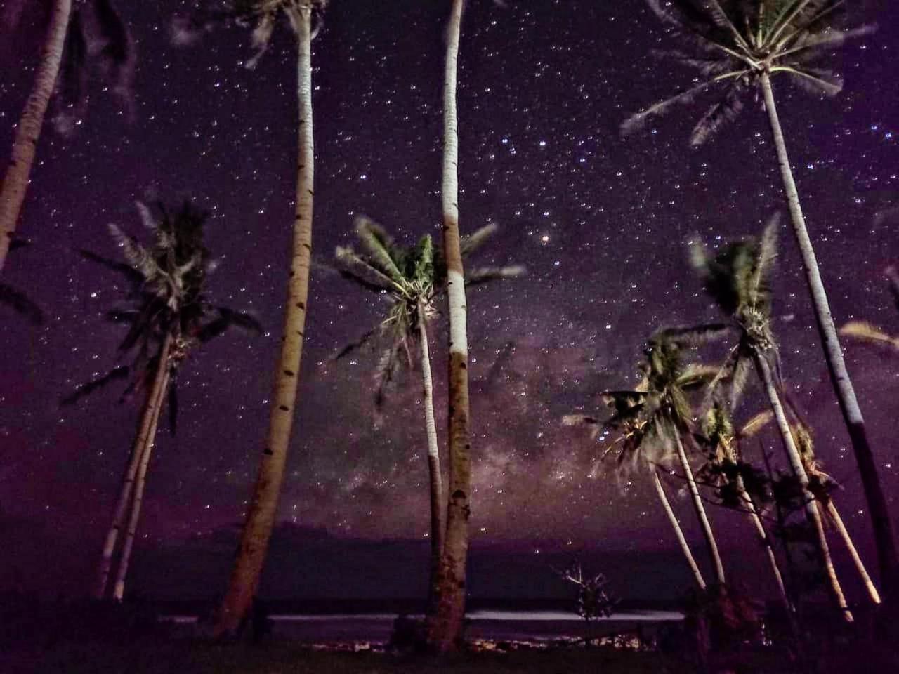Tarzan'S House Hotel General Luna  Luaran gambar