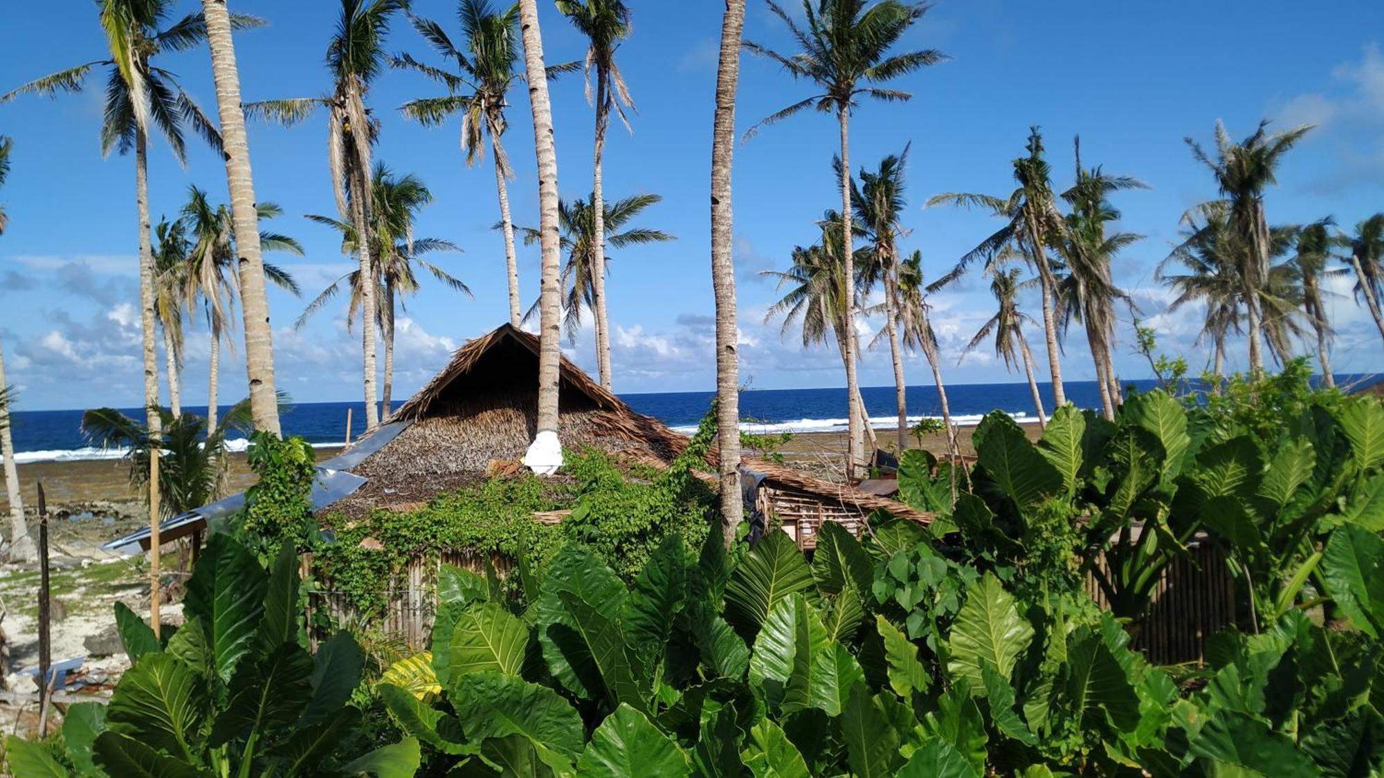 Tarzan'S House Hotel General Luna  Luaran gambar
