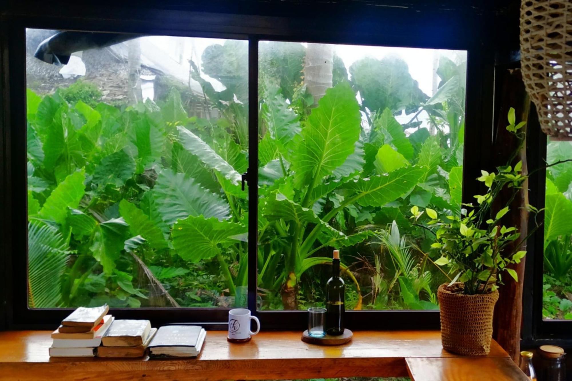 Tarzan'S House Hotel General Luna  Luaran gambar